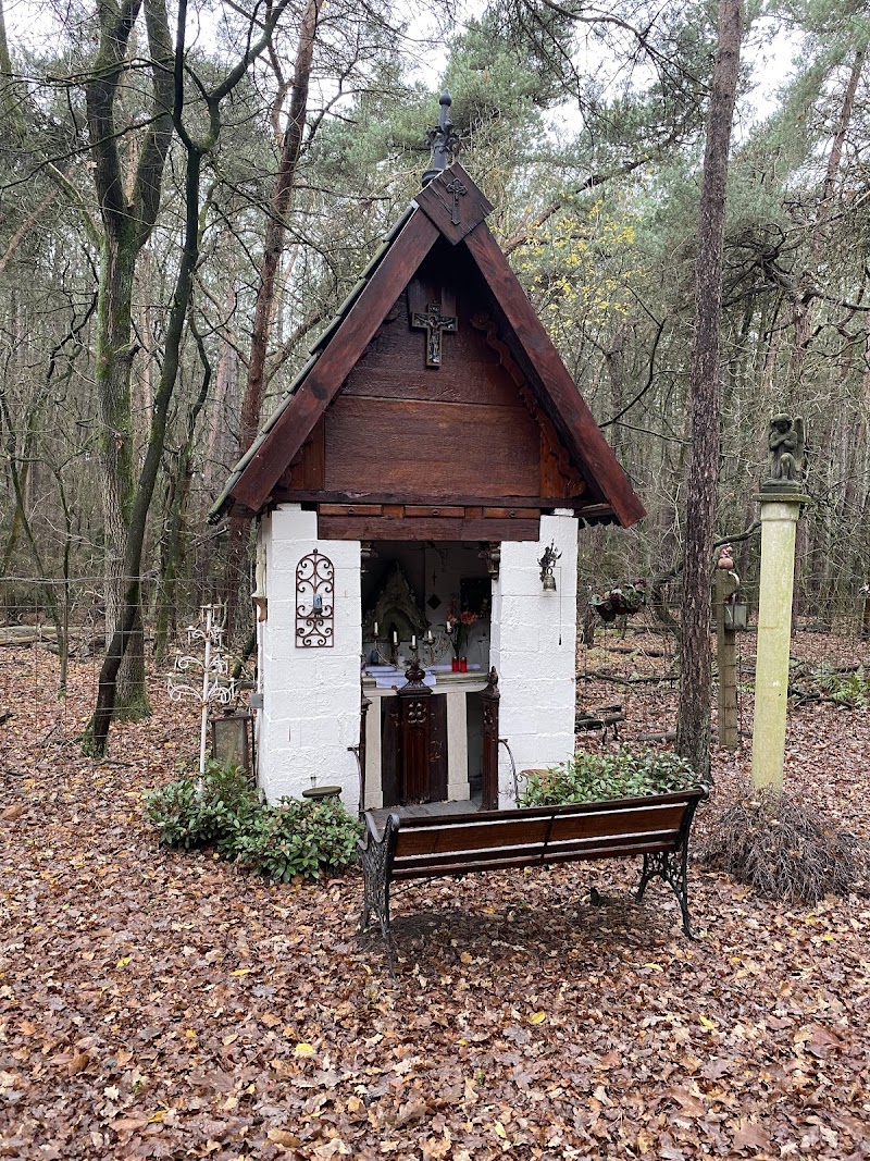 Foto van B&B Bosgeluk
