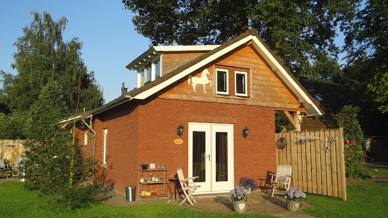 Foto van B&B het Wierdense veld Nijverdal gelegen aan de prachtige heide vlakbij de woeste grond!