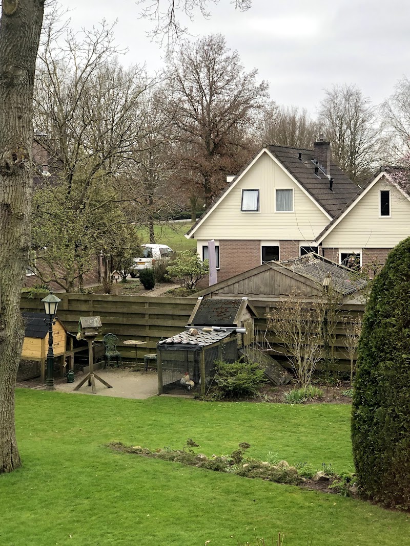 Foto van Onder de eiken