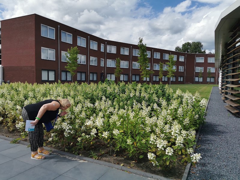 Foto van Hotel