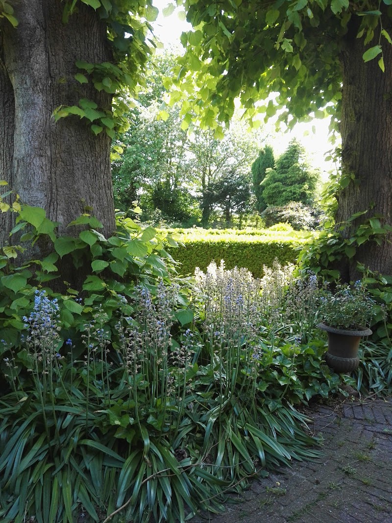 Foto van Bed and Breakfast