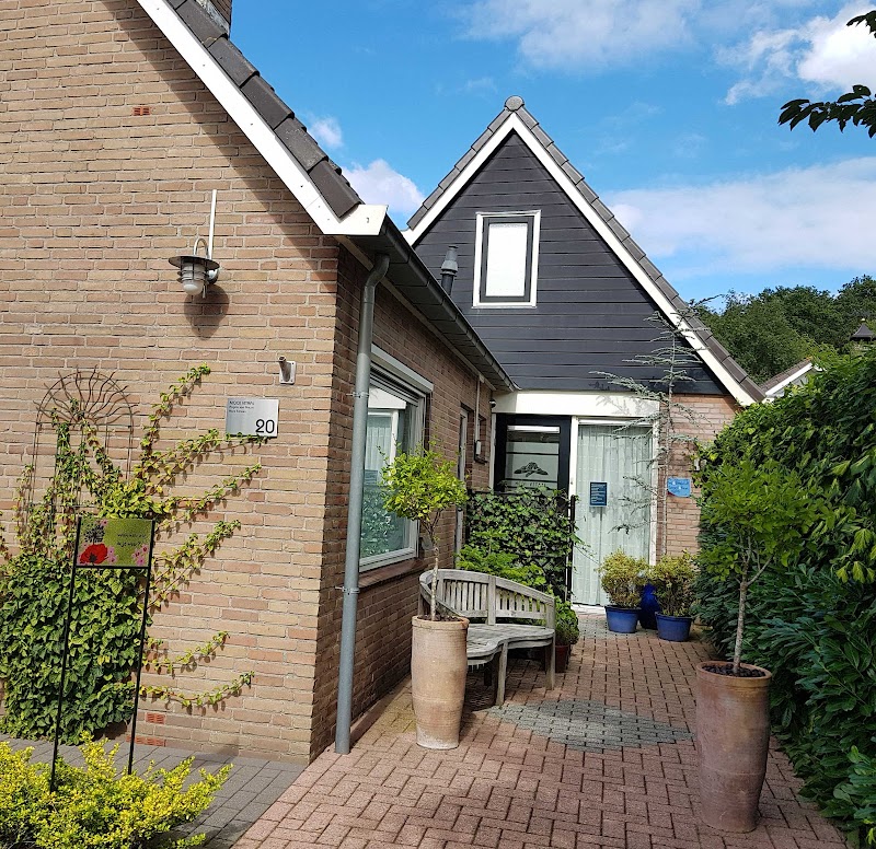 Foto van Mooi Vitaal Wellness Bed & Breakfast