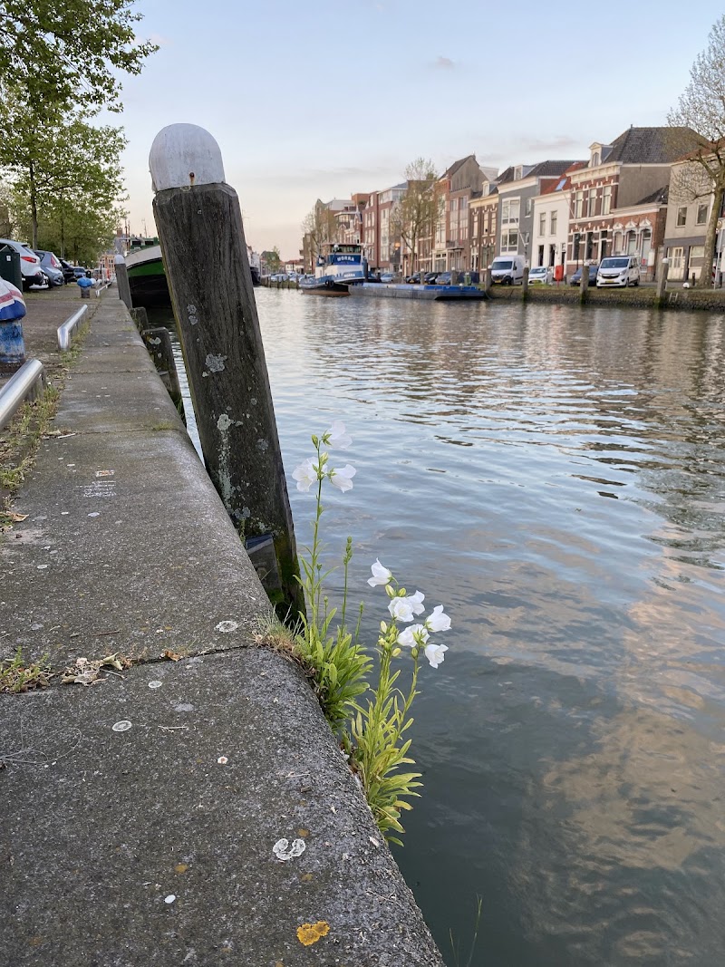 Foto van B&B Hv40