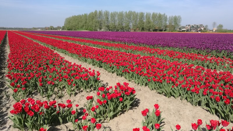 Foto van Bed & Breakfast Fam. van Maanen