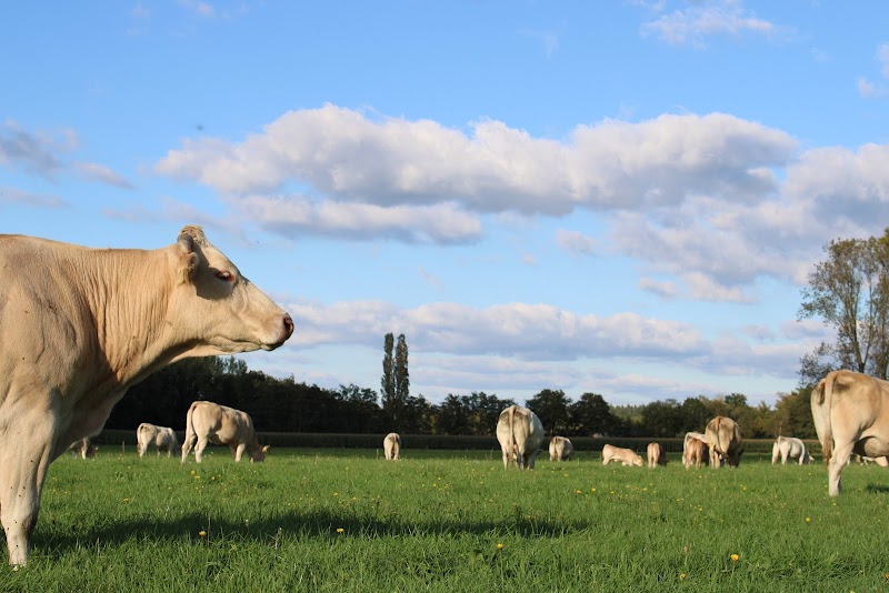 Foto van Natuurhuisje 't Hoogbos