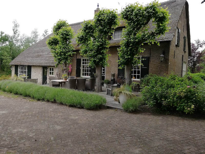 Foto van Filion's Place