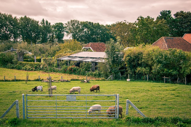 Foto van Logement 'De Appelgaard'