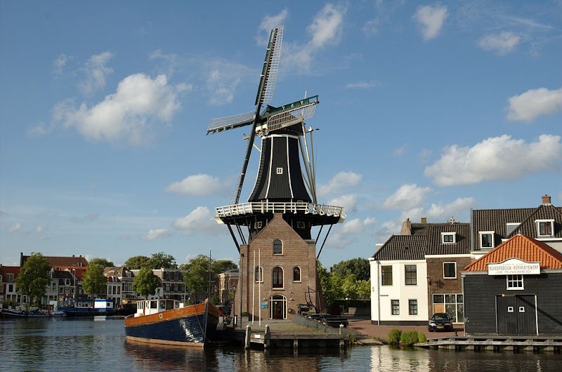 Foto van Bed and Breakfast The Rose