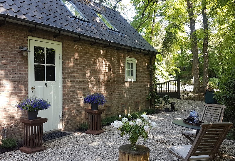 Foto van In de oase
