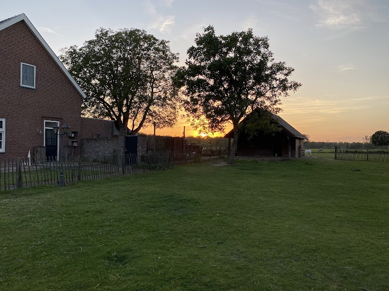 Foto van SterGroep - De Vilt