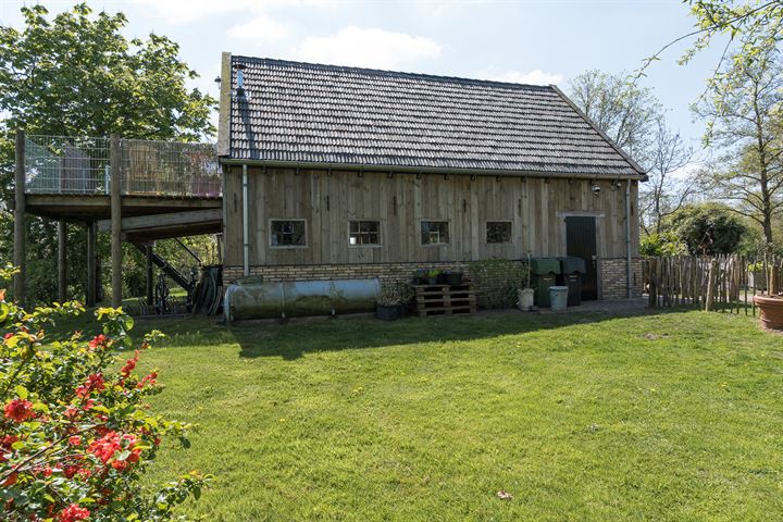 Foto van Hústerheide