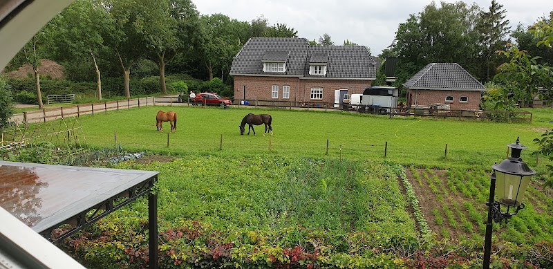 Foto van Bed en Boterham