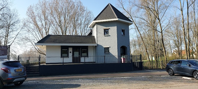 Foto van het gouden zusje