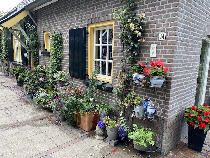 Foto van Bed en breakfast 'de Vlierenfluiter'