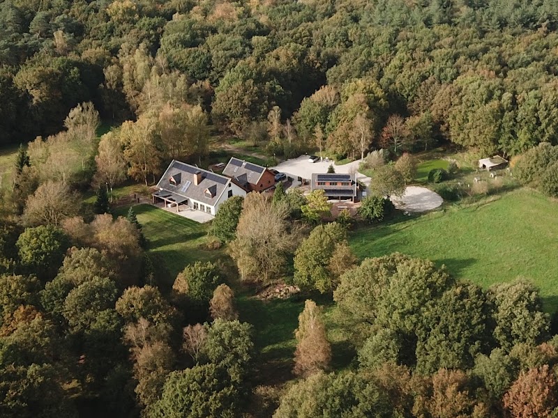 Foto van Inn The Woods (Vergaderen in het bos)