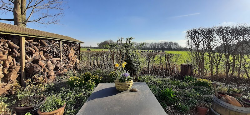 Foto van Hedelbed