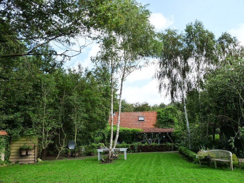 Foto van Bed & Breakfast Hongerdyck