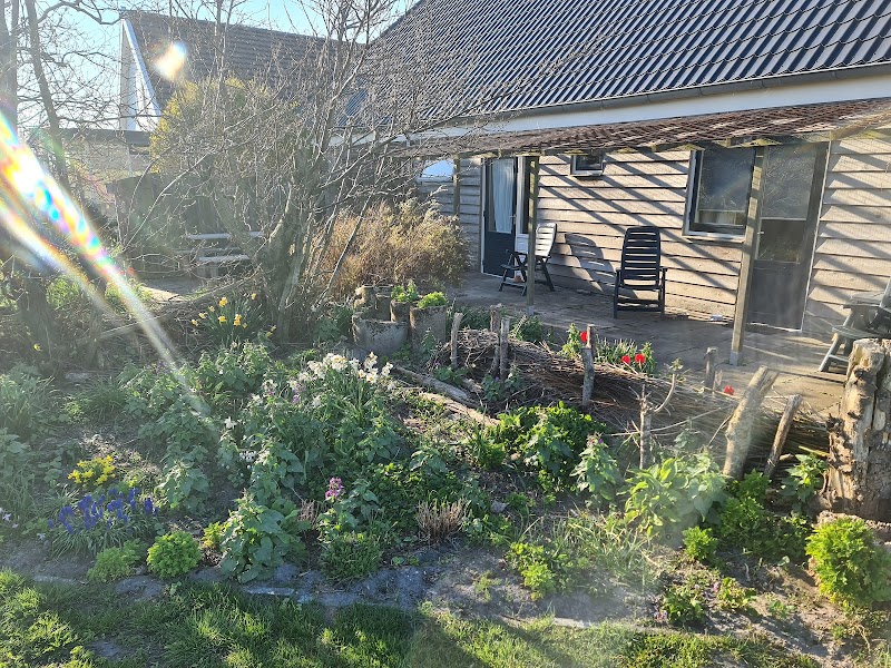 Foto van Bed & Breakfast Tulpen & Zo
