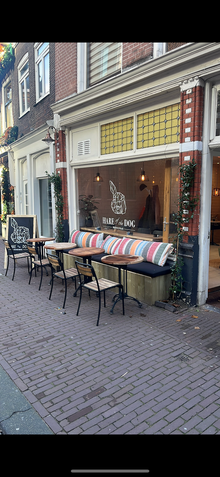 Foto van Hare of the Dog