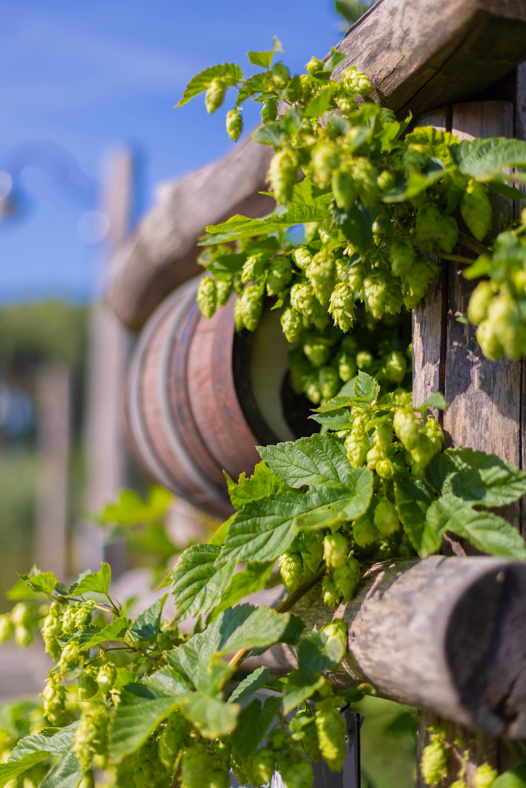 Foto van Brouwerij de Fontein