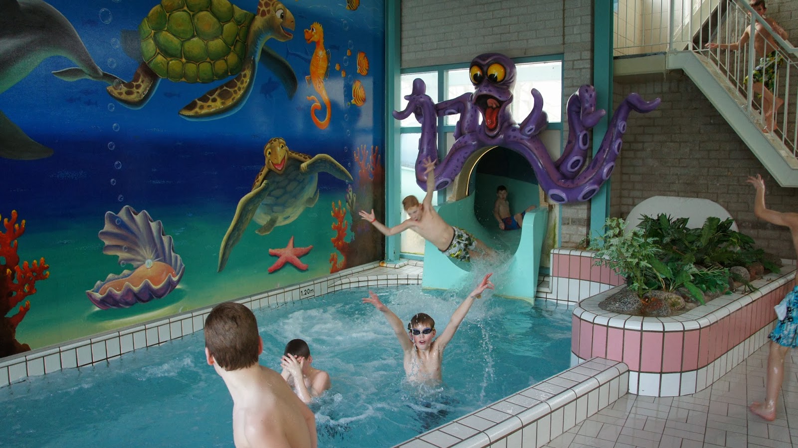 Foto van Zwembad De Meerval