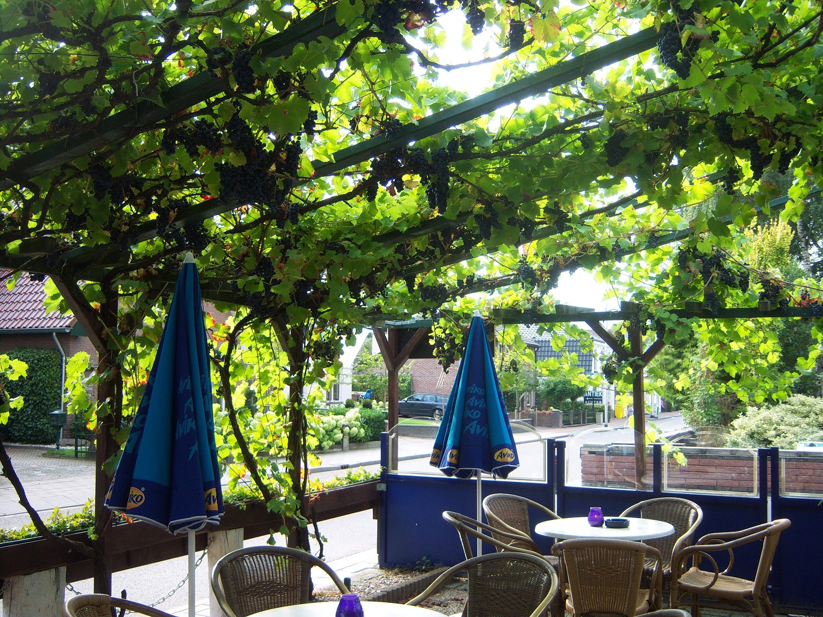 Foto van Carola's Cafetaria