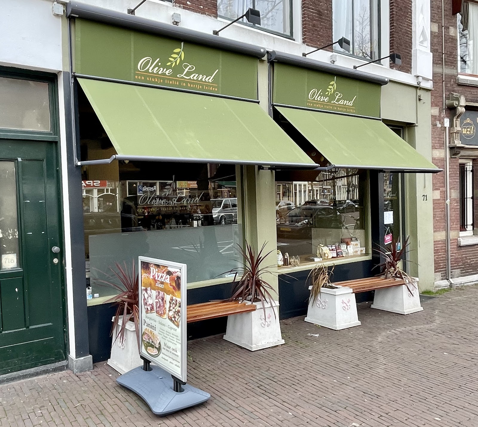 Foto van Olive Land