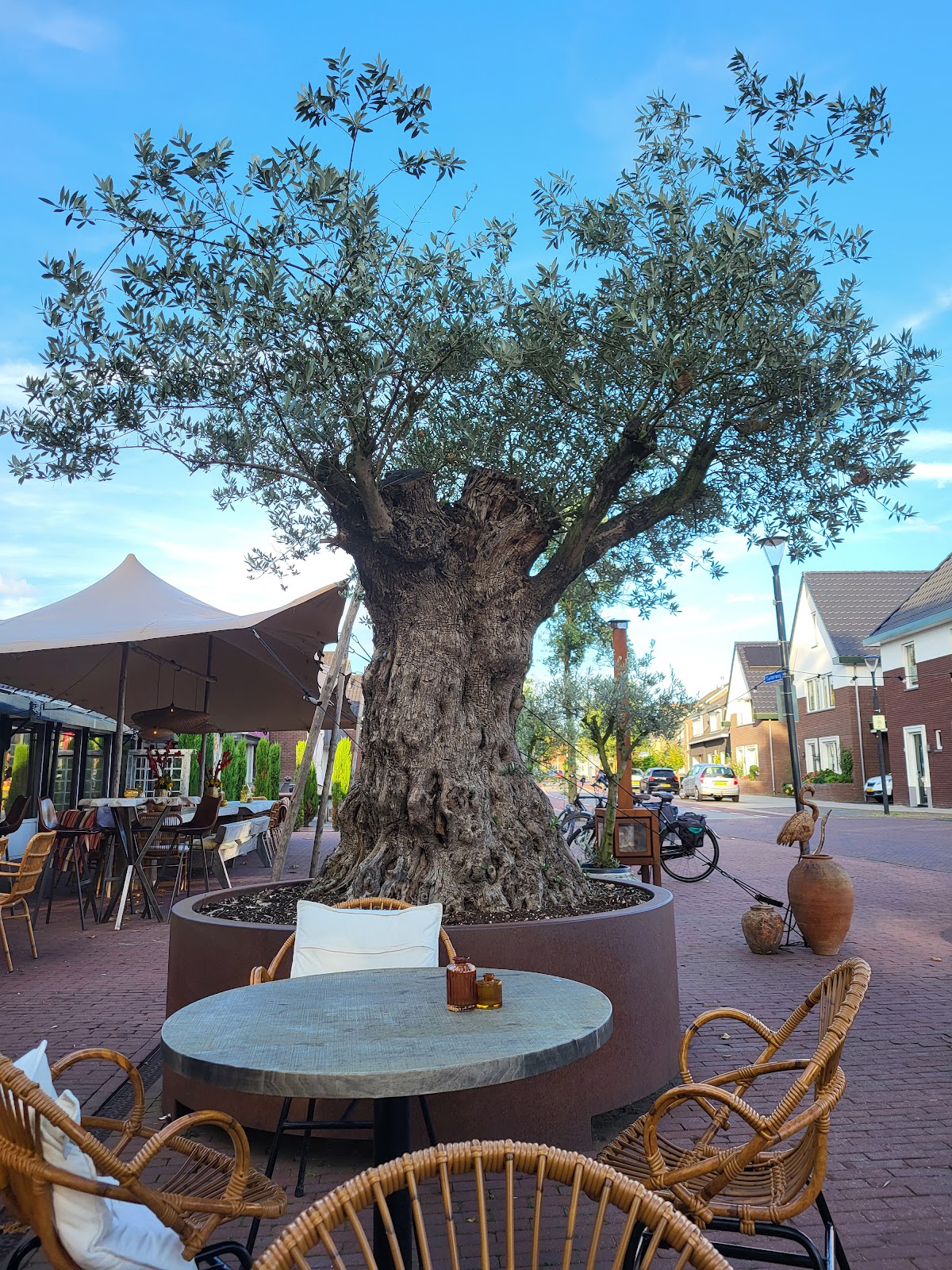 Foto van Brasserie Dertien