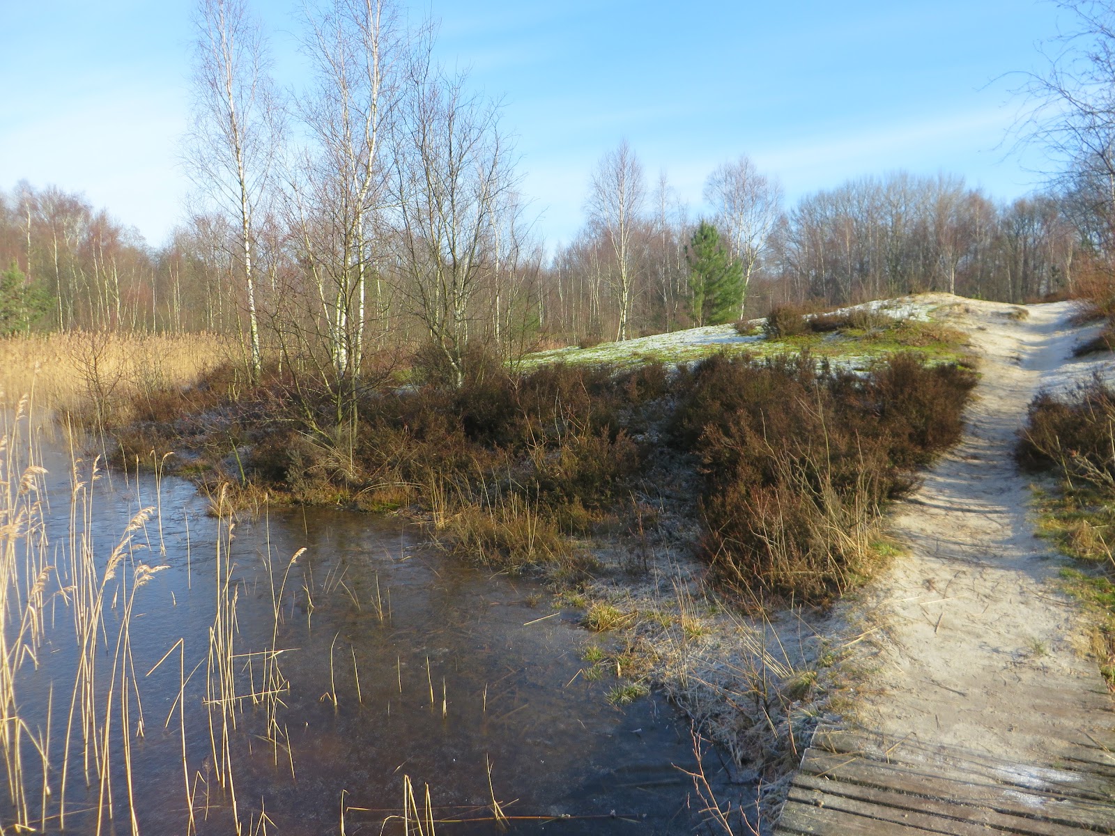 Foto van Heemtuin Muntendam