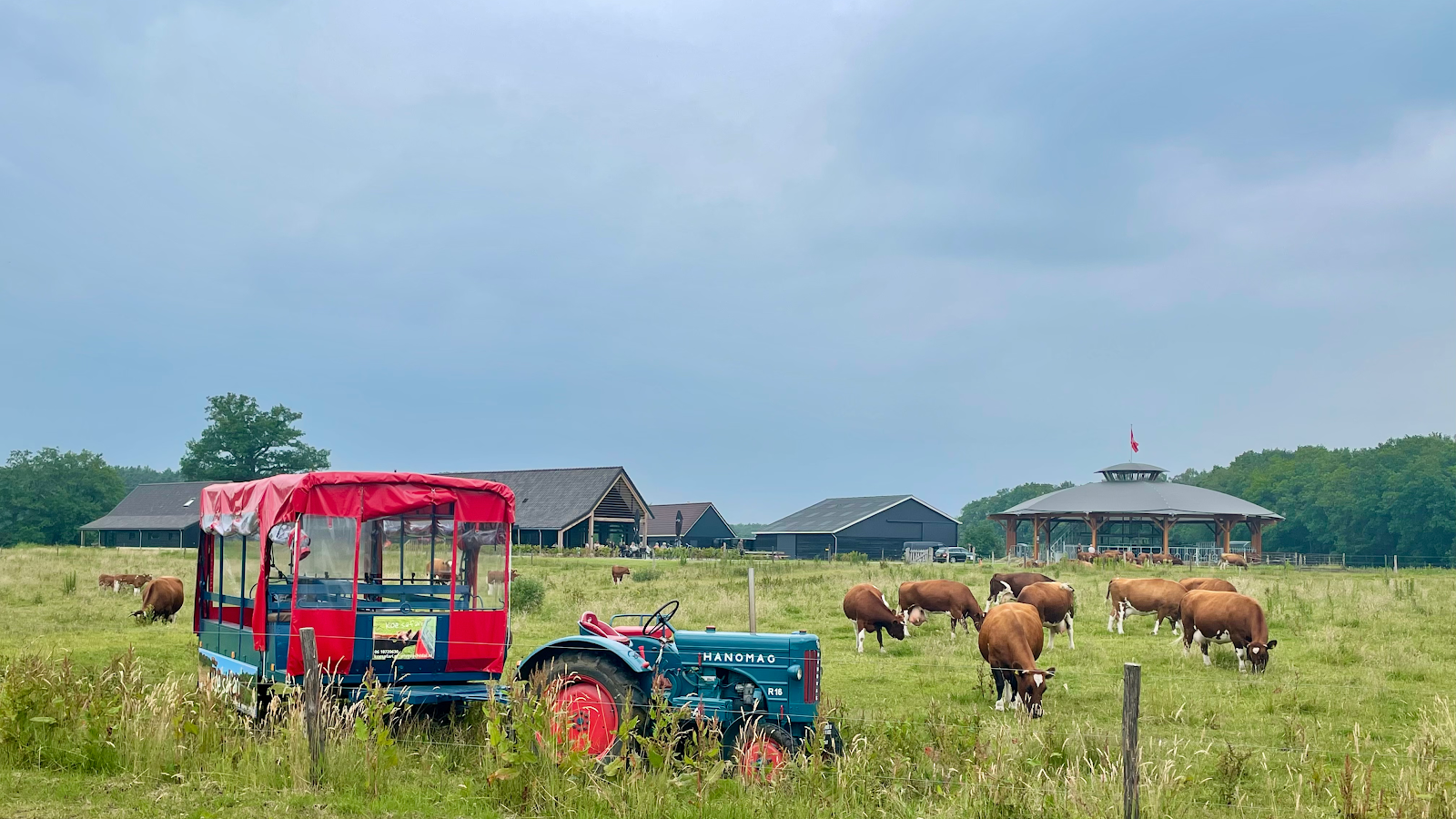 Foto van Koe Safari Erve Vechtdal