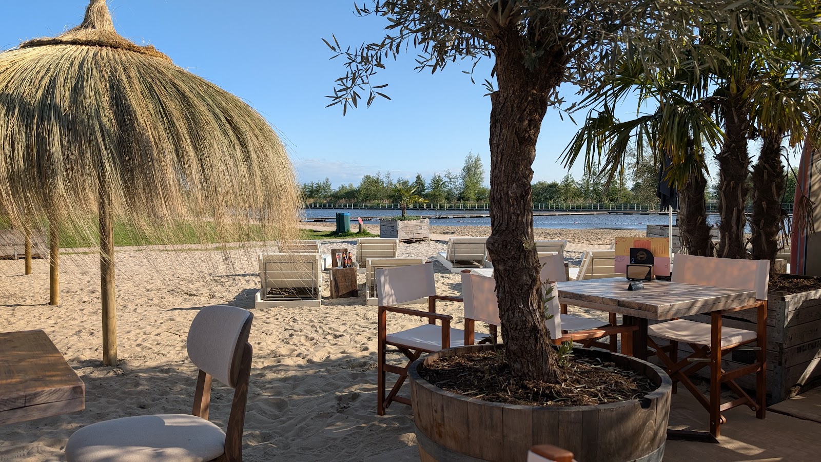 Foto van Strand Zomer