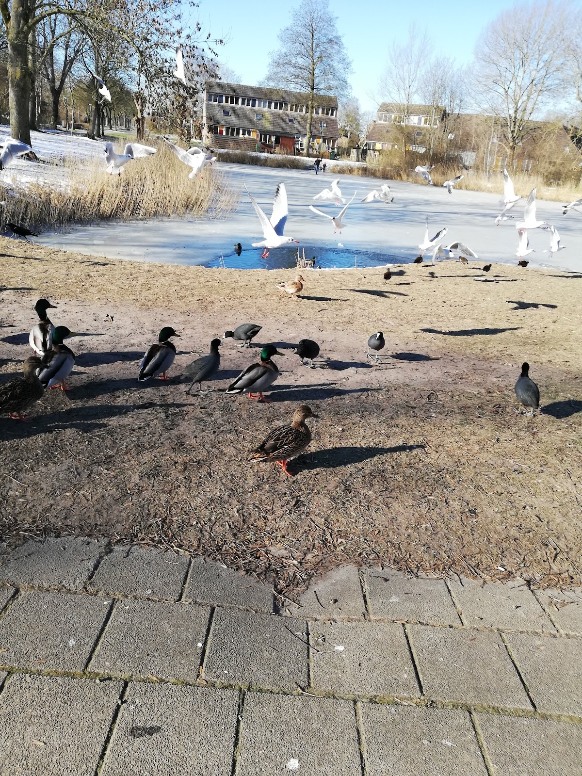 Foto van Frietkraam "Tuikwerd"