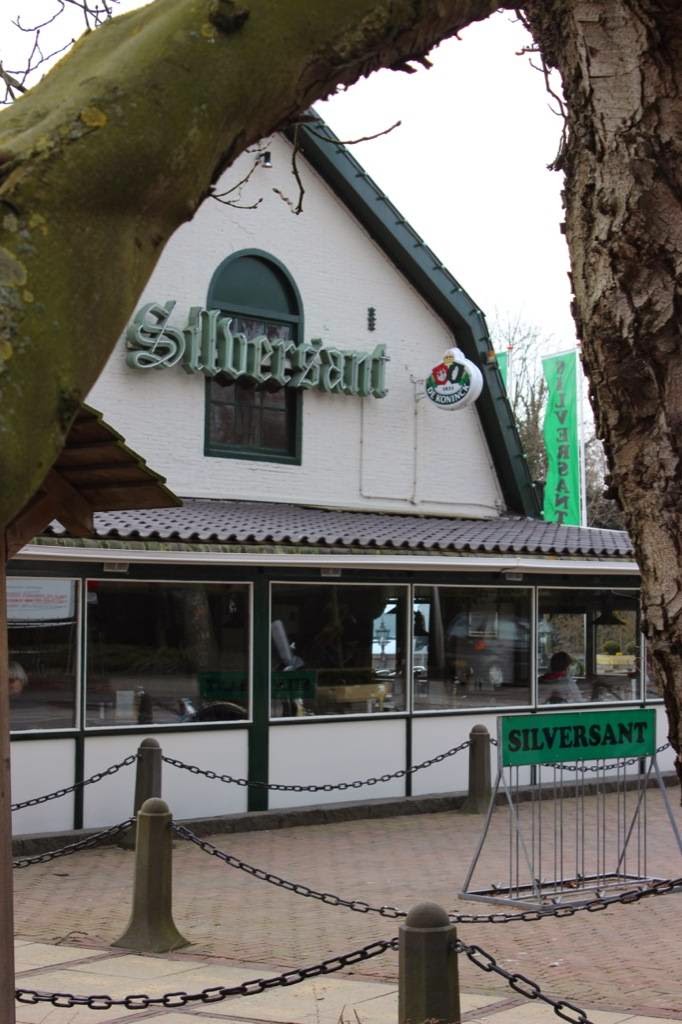 Foto van Silversant