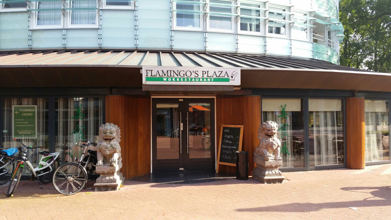 Foto van Flamingo's Plaza Wokrestaurant