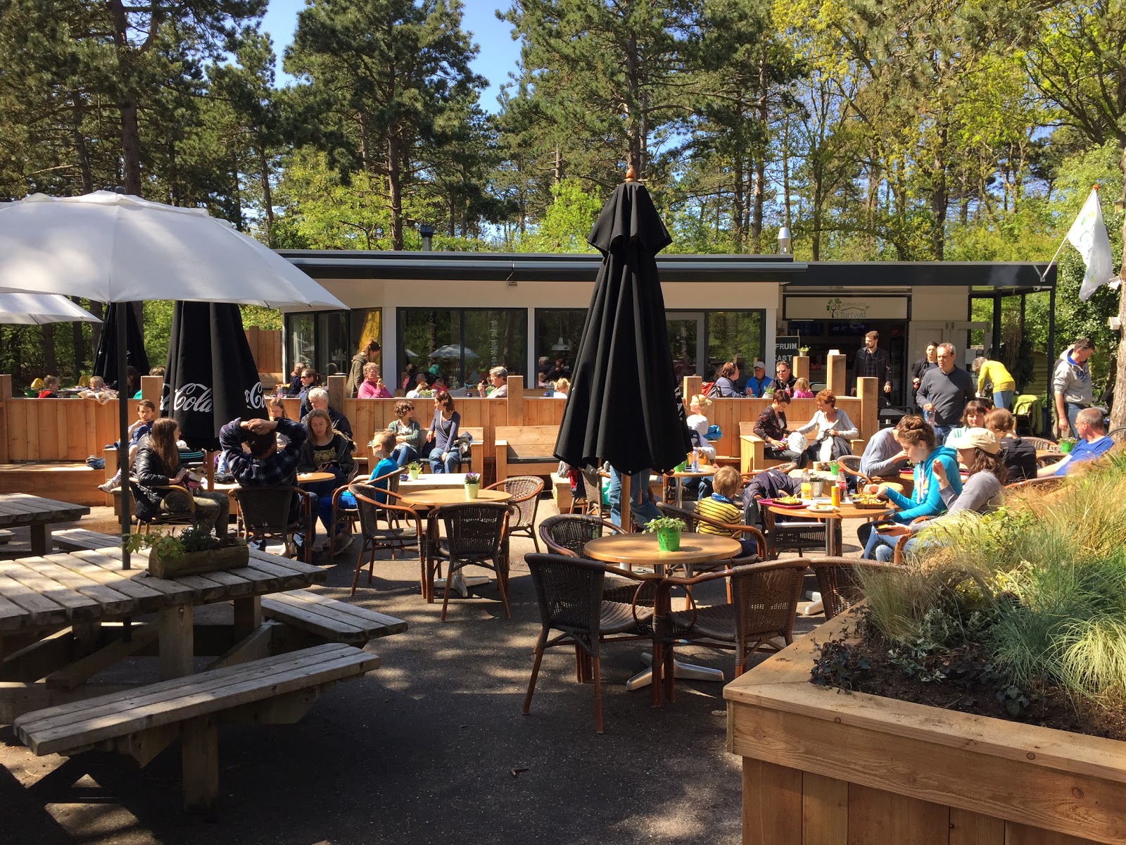 Foto van Turfveld
