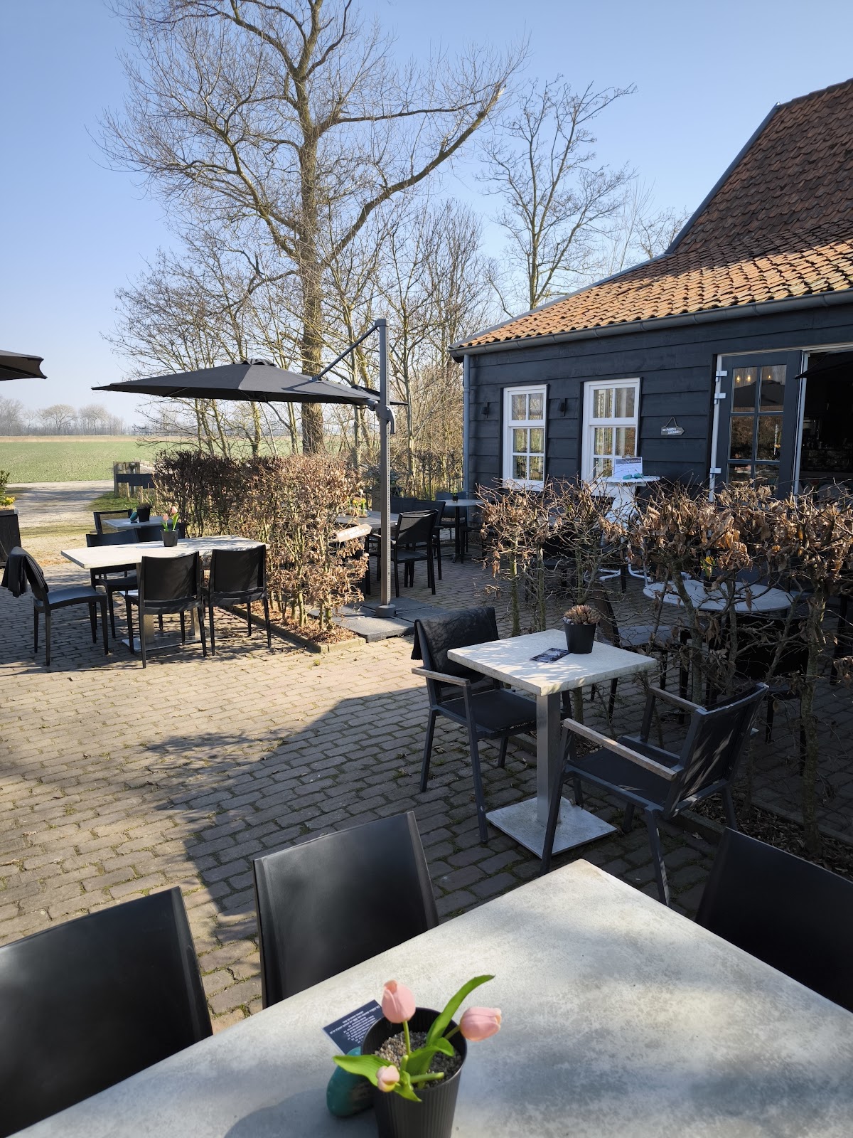 Foto van Café Palatina