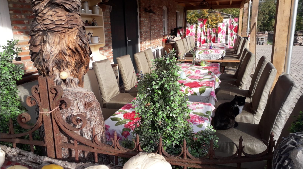 Foto van Theetuin en koffiehuis Balgoy