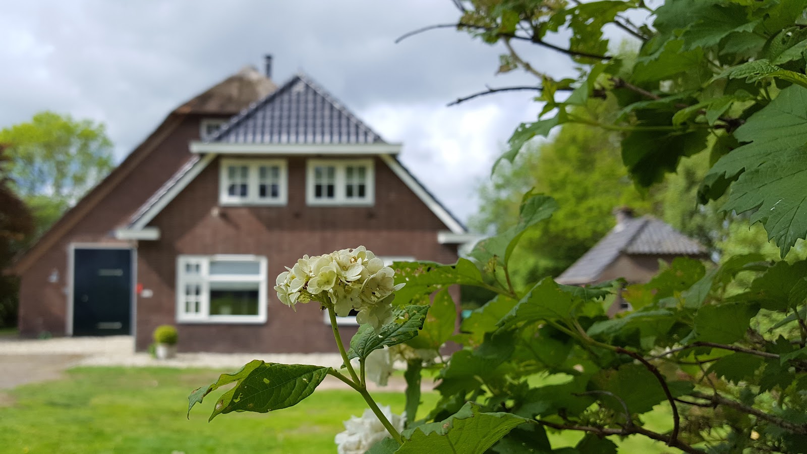 Foto van The Barnyard - Bed en Breakfast Drenthe