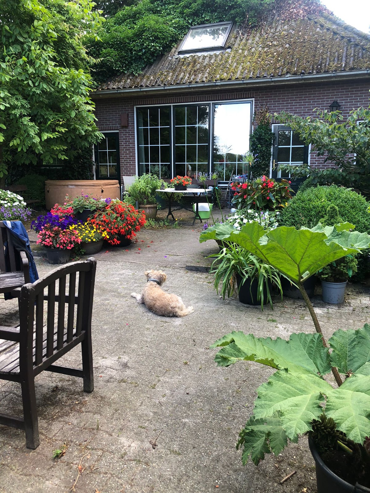 Foto van Hoveniersbedrijf John Verlinden