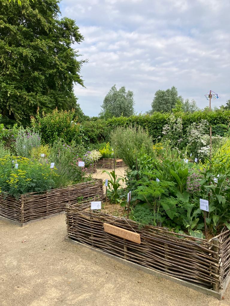Foto van De Cleyne Hortus