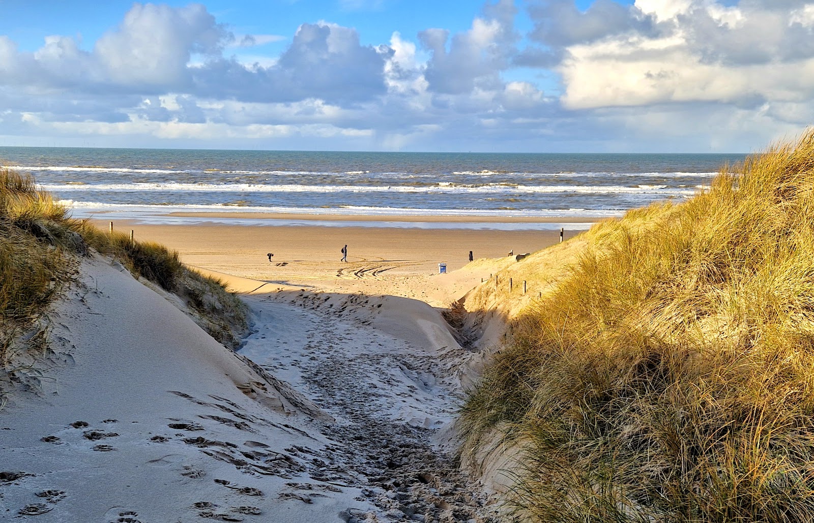 Foto van Strand Bergen aan Zee
