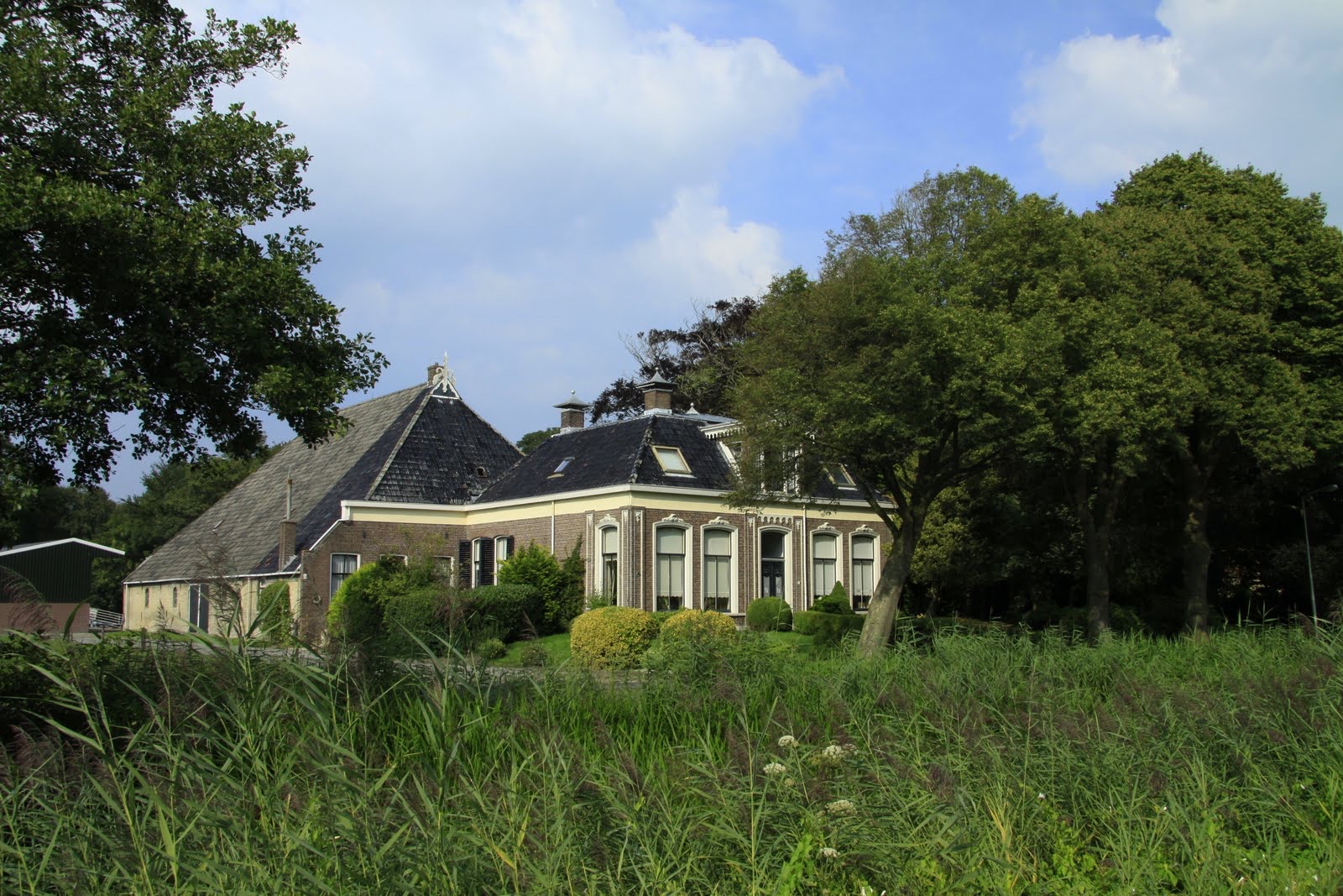 Foto van Bontebok