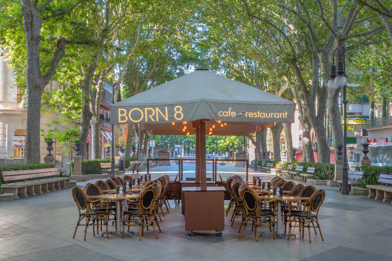 Foto van Born 8