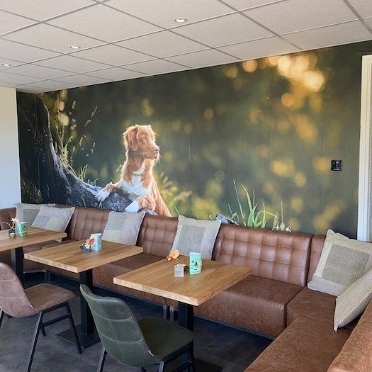 Foto van Brasserie Wagenwiel Radewijk