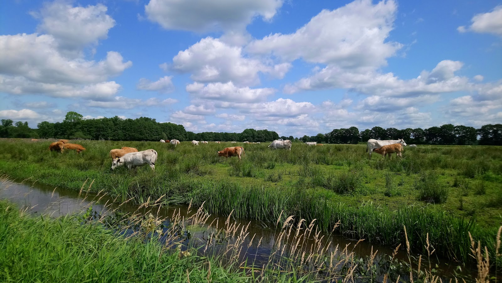 Foto van Toegangspoort Deurze