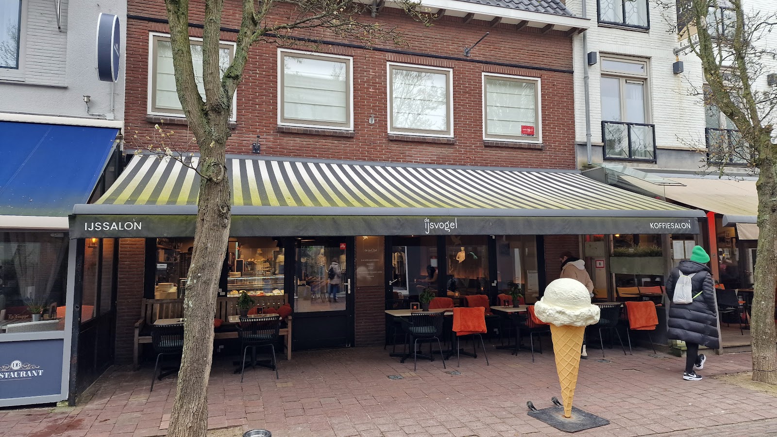 Foto van De IJsvogel