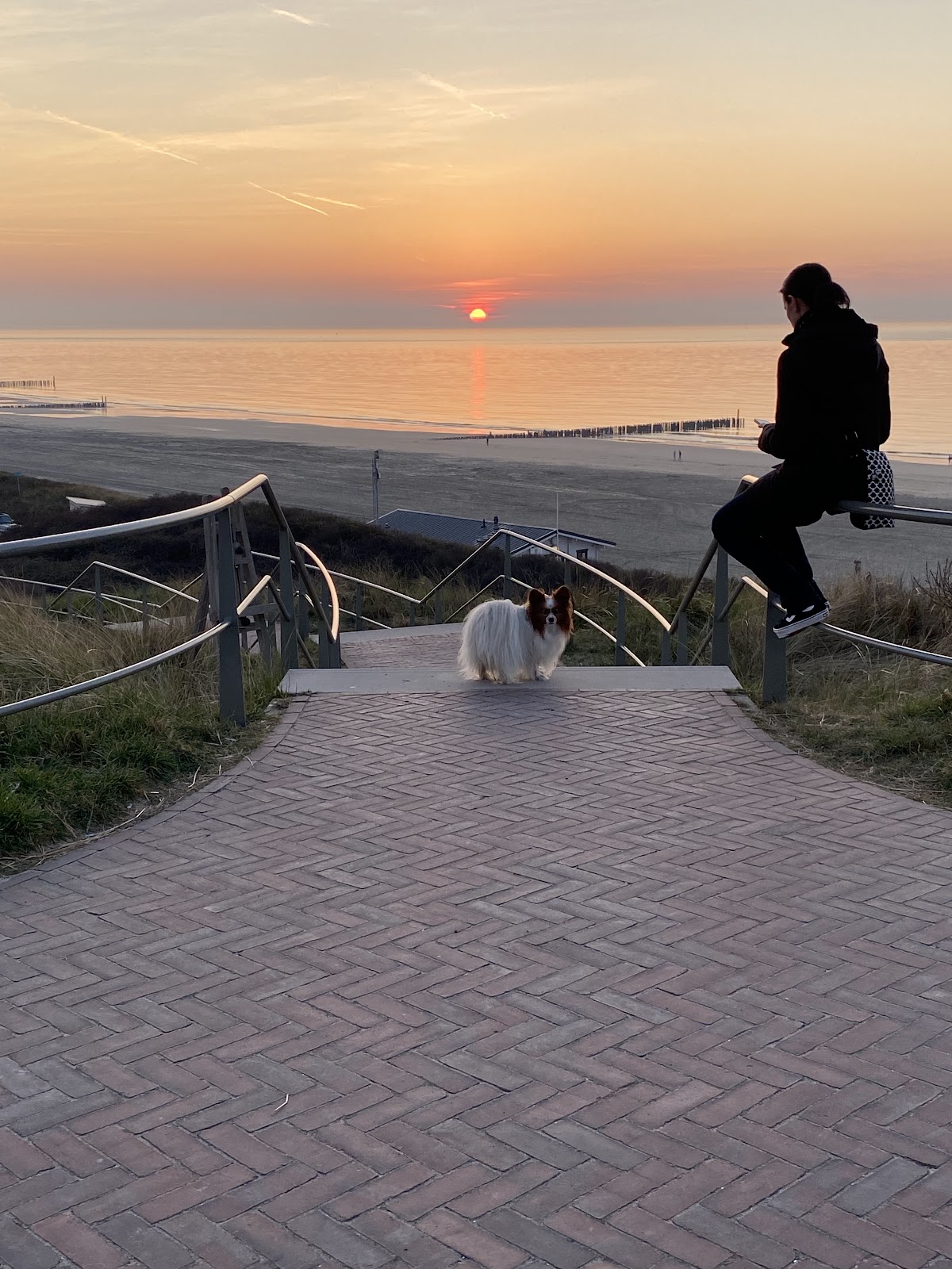 Foto van Domburg “Doggie-Town” - For Dog owners!