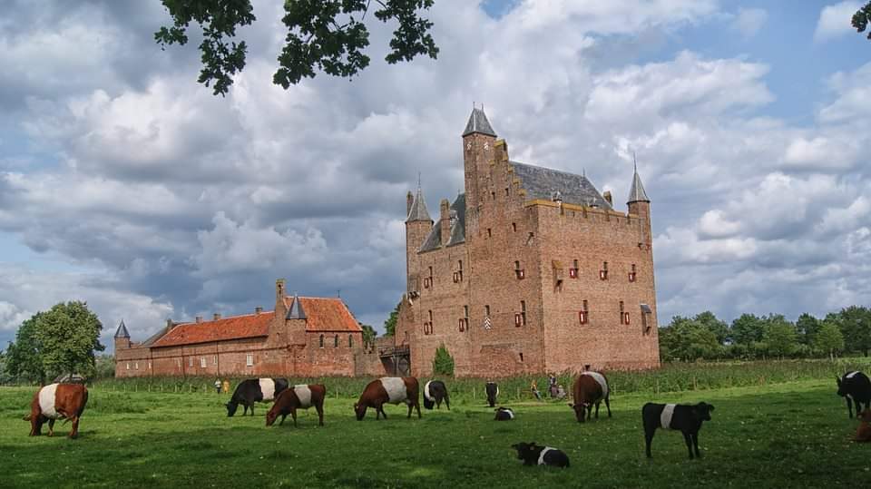 Foto van B&B Kasteel Doornenburg