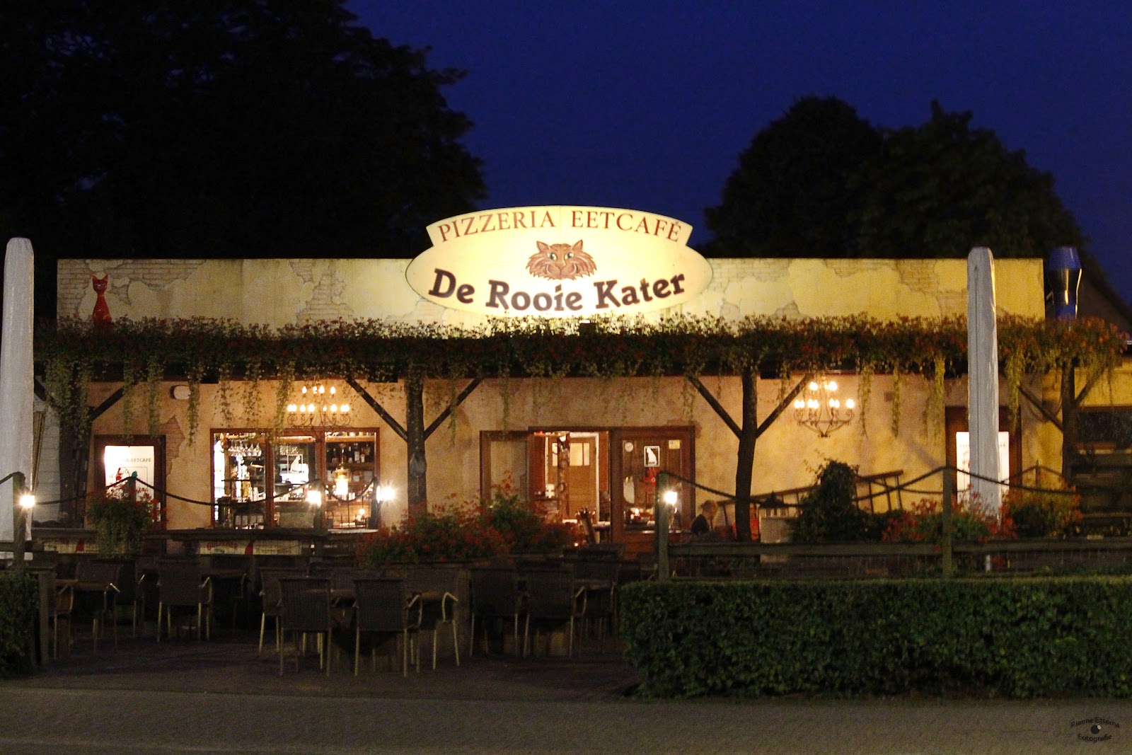 Foto van De Rooie Kater Eelde