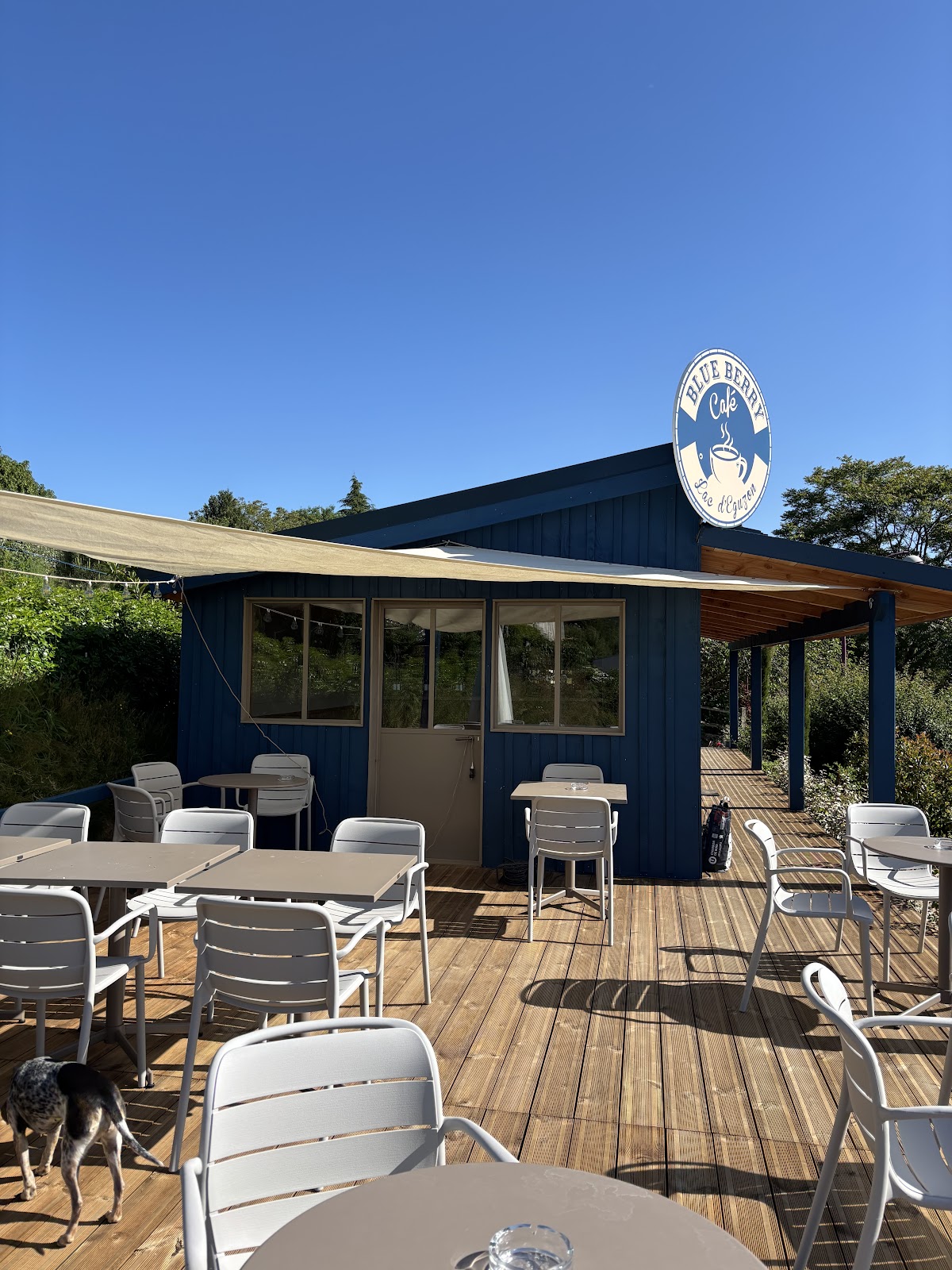 Foto van Blue Berry Café
